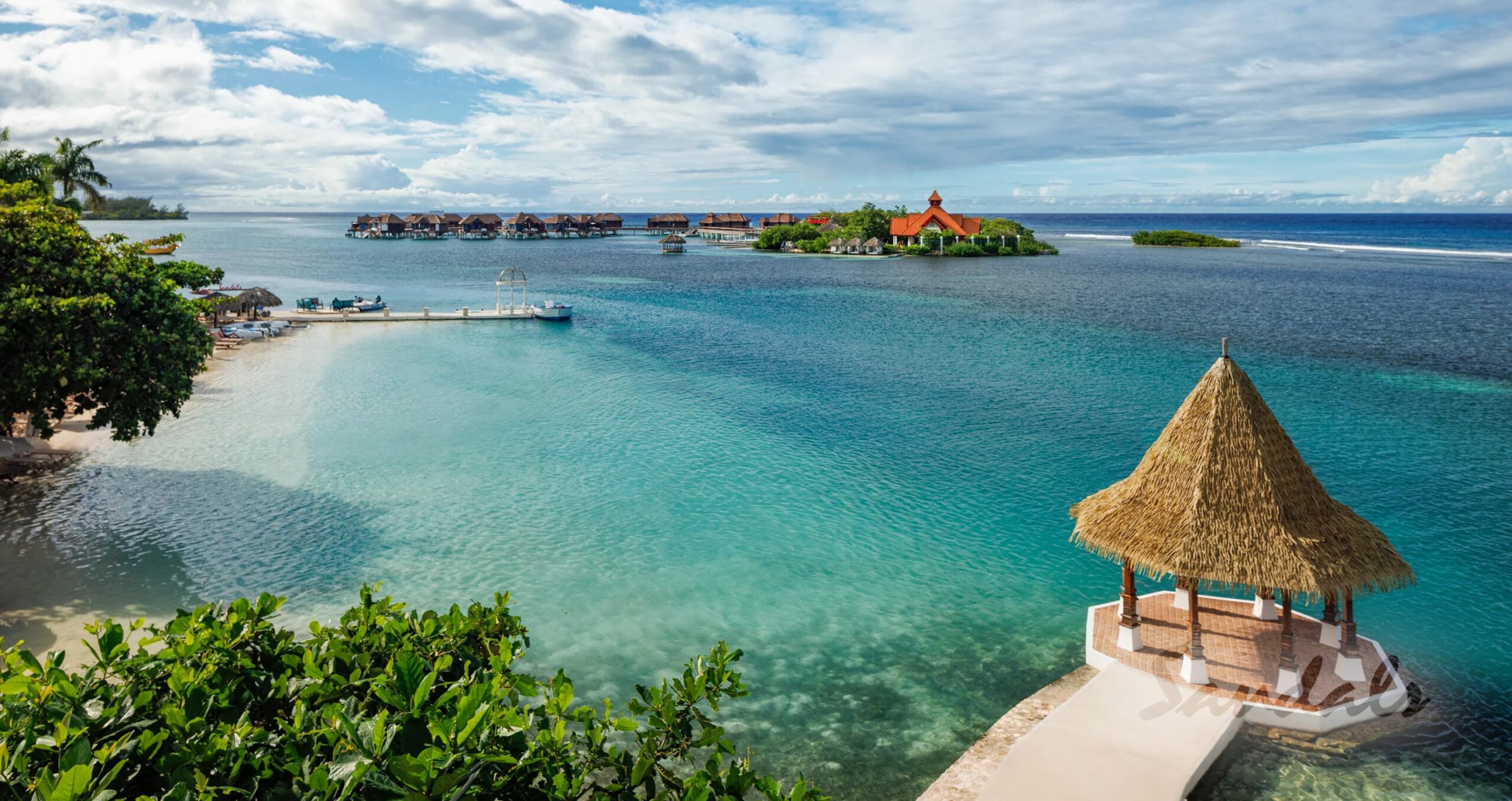 download (1)